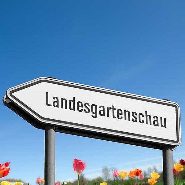 Das Bild zeigt im Vordergrund ein weißes, pfeilförmiges Verkehrsschild mit der Aufschrift „Landesgartenschau“ in schwarzer Schrift. Das Schild ist an einem grauen Metallpfosten befestigt. Im Hintergrund ist ein Feld mit bunten Tulpen in verschiedenen Farben (rot, gelb, orange) zu sehen. Der Himmel ist strahlend blau und wolkenlos. Die Atmosphäre ist sonnig, friedlich und einladend. Das Bild vermittelt einen Eindruck von Frühling, Natur und einer bevorstehenden Veranstaltung. Die Stimmung ist positiv und optimistisch. Die Farben sind kontrastreich und hell, was die fröhliche Atmosphäre verstärkt.